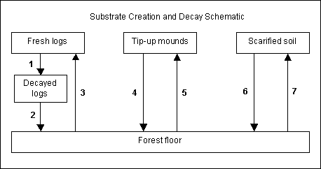 Substrate